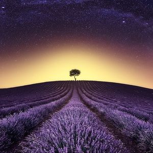 Meet your Posher, Celita